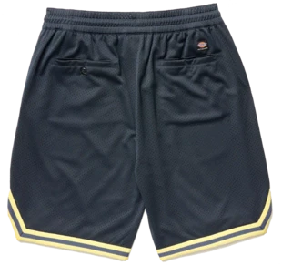 Dickies - Guy Mariano Mesh Shorts | Dark Navy - Image 2