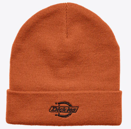 Dickies - Summerdale Beanie | Autumn Maple
